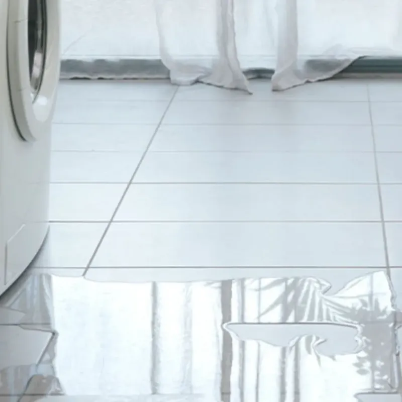 Appliance Leak Cleanup in Madison County, GA